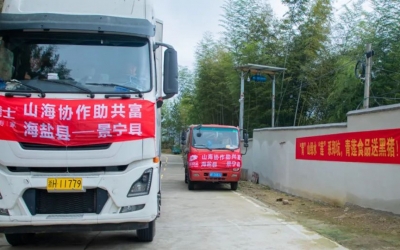 懷抱熱愛、奔赴山海~ 膳博士黑豬“遠嫁”景寧鄭坑助共富！